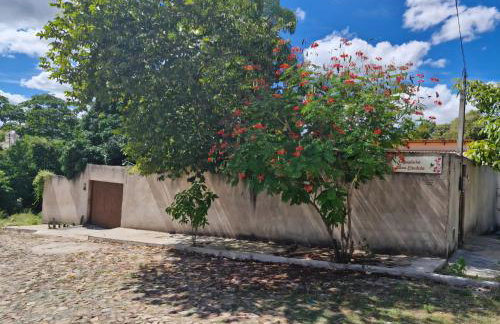 Fazendinha Dona Cândida - Foto 6