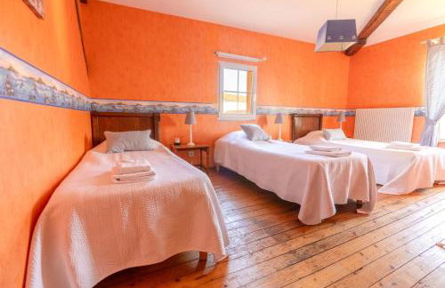 Les oiseaux - Foto 46