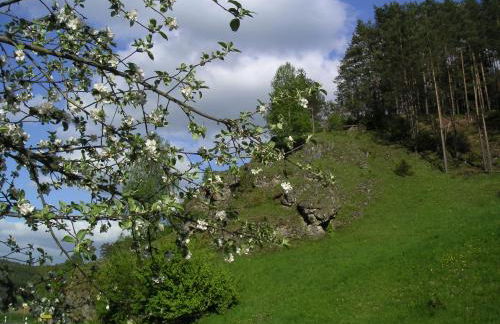 Natur-Aktiv-Hof Thiem - Foto 41