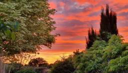 Begonia Cottage - Foto 2