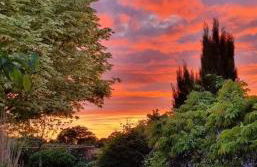 Begonia Cottage - Foto 2