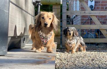 Oak Tree Hideaway - Foto 62