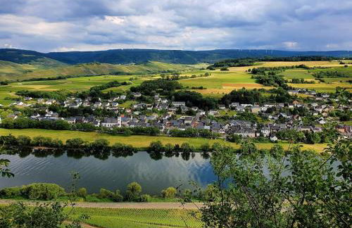 Elegant Apartment with Direct River View, Balcony and Parking in Bernkastel-Kues - Photo 51