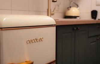 2 Zimmer Retro City Apartment in der Altstadt - Foto 23