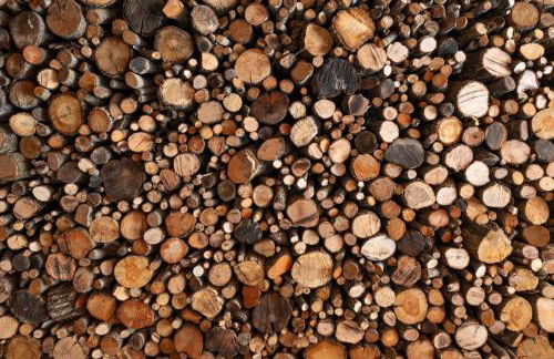 Mas au cœur de la Provence, paradis isolé à l'Etournelle - Photo 28