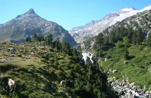 Apartamentos Ball Benas Edificio Mirador - Foto 75