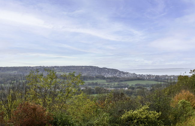 La Pinchonnière - Foto 4