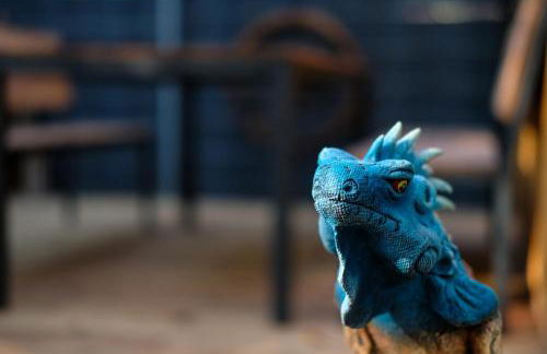 Iguana - Das Tiny Haus am Reptilienzoo Reptilium - Foto 43