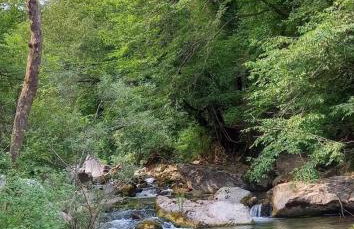 Villa Cornetti - Photo 12