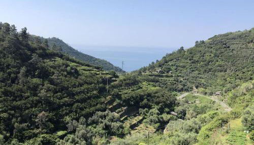 AL GEKO DEL GROPPO ☆ Breath & Relax ☆ 5 TERRE - Foto 5