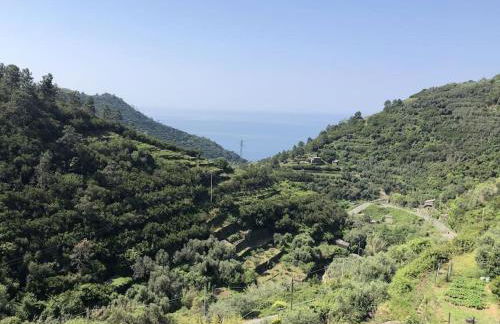 AL GEKO DEL GROPPO ☆ Breath & Relax ☆ 5 TERRE - Foto 5