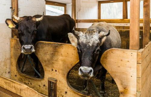 Agritur Ciasa Dò Parè - Foto 28