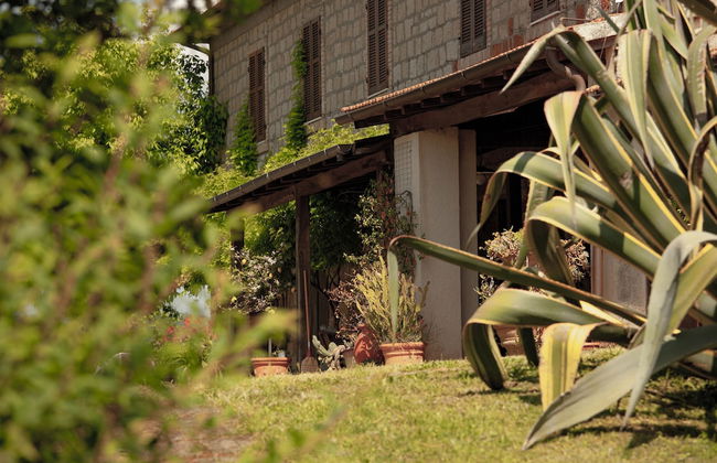 Agriturismo Bio Aia della Colonna - Foto 24