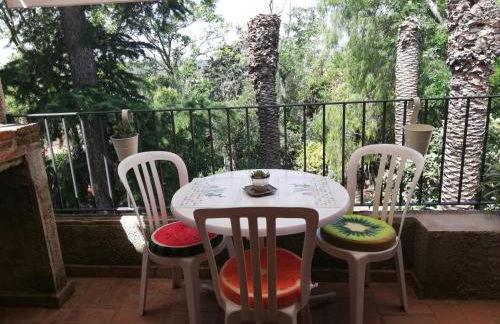 CAN CACTUS GARRIGUELLA - Foto 27