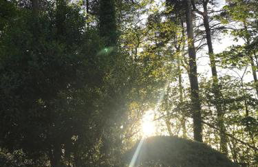 Lodge with log burner Contractors business private parking free Wi-Fi near M4 - Foto 30