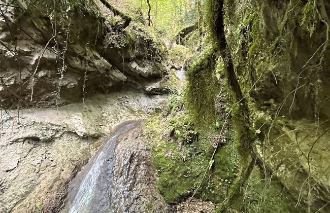 Il Borgo Incantato Dependance - Photo 17