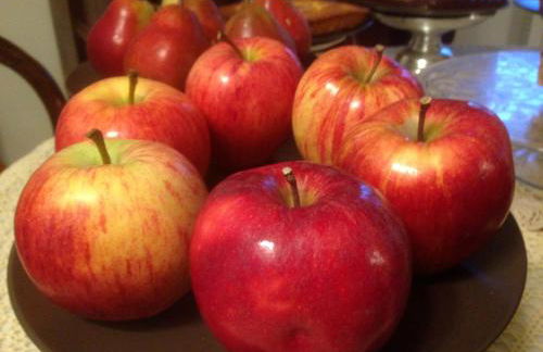 Agriturismo Monaci Templari - Foto 81