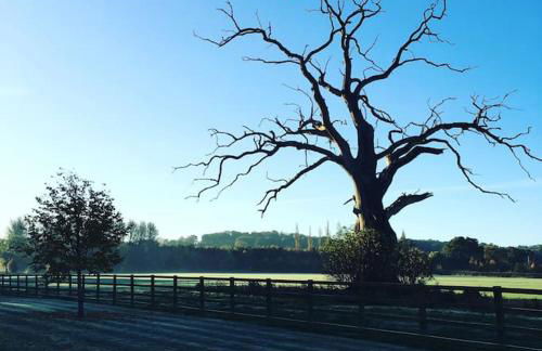 Groves Barn at Norton Grounds - Photo 26