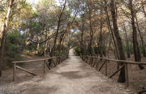 Casa Vacanza Sant'Erasmo Ginosa Marina - Foto 8