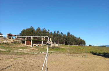 Quinta Do Marmeiral - Foto 28