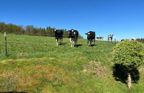 Ferienwohnung Burkart - Foto 19