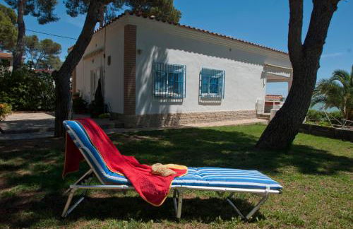 Sargantana Blava - Foto 60