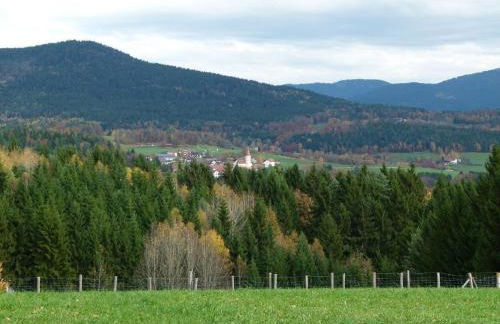 Ferienwohnungen Weghofer F**** (Viechtach) - Foto 13