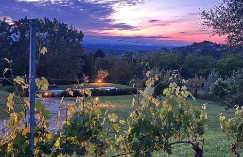 Vigne dei Mastri - Foto 10