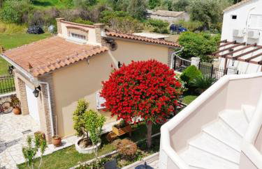 Villa Kormos Apart Hotel - Foto 18