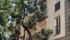 Majestic Flats - Photo 3