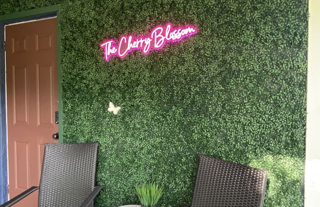 The Cherry Blossom - Photo 20