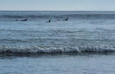 CASA de Praia, Jardim São Lourenço Bertioga SP - Foto 39
