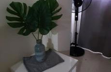 Rosyshome102 - Foto 19