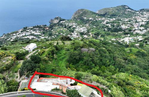 Appartamento di villa gesualda - Foto 13