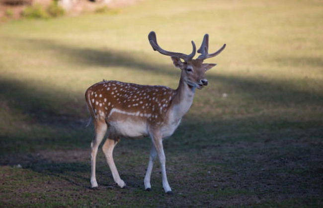 A Hidden Haven & Water Garden Cottages - Foto 50