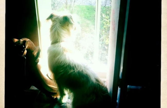 Boutique Bijoux Garden Flat in Vibrant Oval - Foto 38