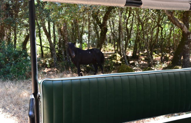 Il Borgo dell'Arcangelo - Foto 26