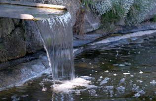 Hotelanlage Tarnewitzer Hof - Foto 65