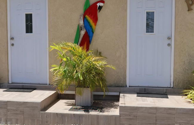 Love and Peace Vacation Rental Aruba - Foto 43