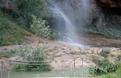Casa de Pueblo El Patio de las Cebollas - Foto 56