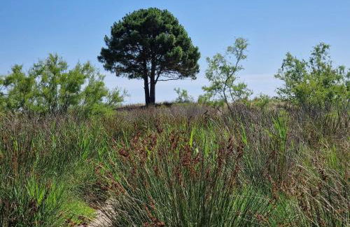 Le jardin de Domi - Foto 26