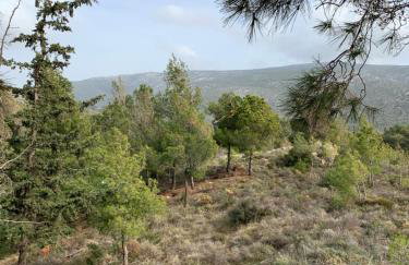 Lillian’s House - Foto 71