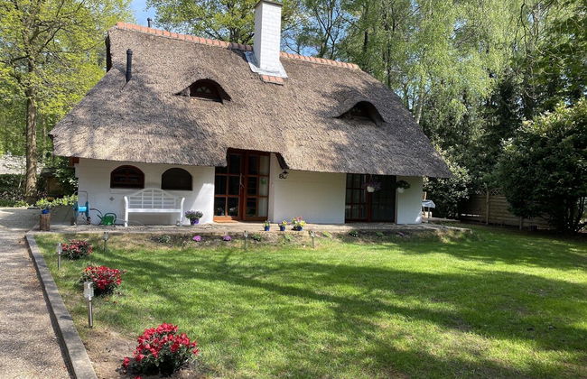 Ferienhaus Boschhuys - Foto 16