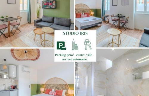 Iris Parking & Clim - Roanne centre-ville - Foto 1