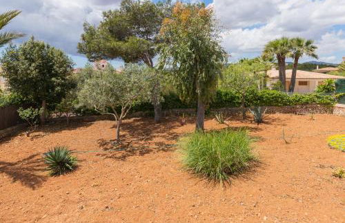 Buenavista - Foto 38