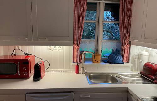 Ferienhaus unter Reet im Heidedorf Sankt Dionys bei Lüneburg - Foto 15