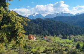 Tsigaridas Mountain Home - Foto 25