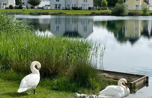 Luxury Kingfisher Lodge, Isis Lake, within the Cotswold Waterpark - Foto 40