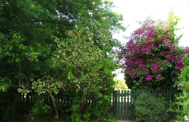 Sunny Lane - Foto 25