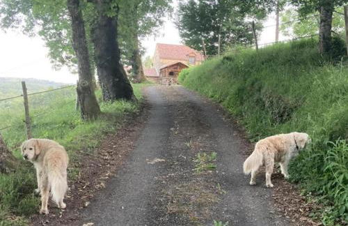 Mas dAmour - Foto 28